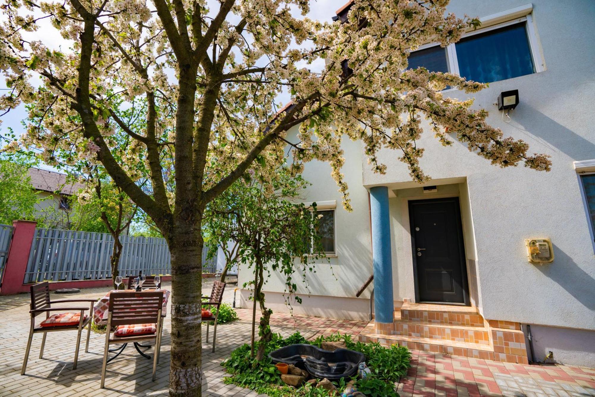 Pitstop Apartments Dumbravita  Exterior photo